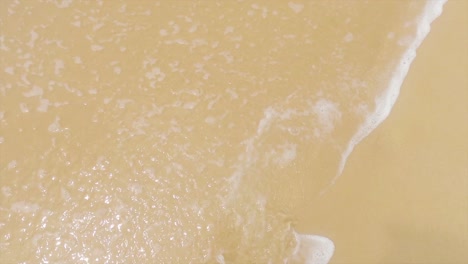 woman feet walking n playing with crystal clear sea water n calm ocean white foam wa