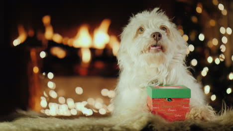 un perro se sienta cerca de un regalo en el fondo de una chimenea donde arde el fuego