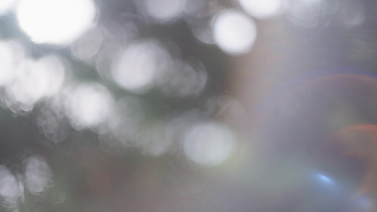 Resumo de fundo natural bokeh