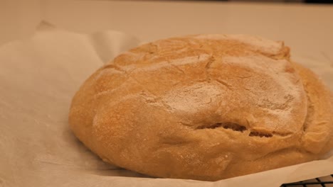 slow motion pan around full freshly baked loaf of sour dough bread topped with flour sitting on kitchen bench with tea towel and tray, low depth of field