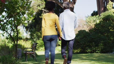 vista trasera de una pareja afroamericana cogida de las manos y caminando en un jardín soleado