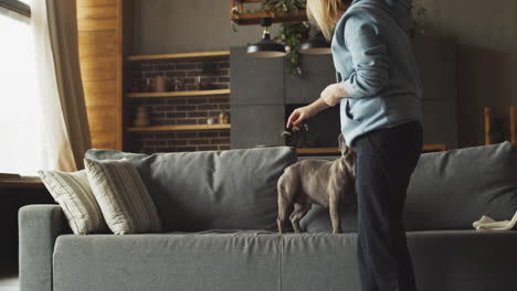 Rothaarige-Frau,-Die-Steht,-Während-Sie-Ihrem-Hund-Auf-Dem-Sofa-Im-Wohnzimmer-Zu-Hause-Leckereien-Gibt