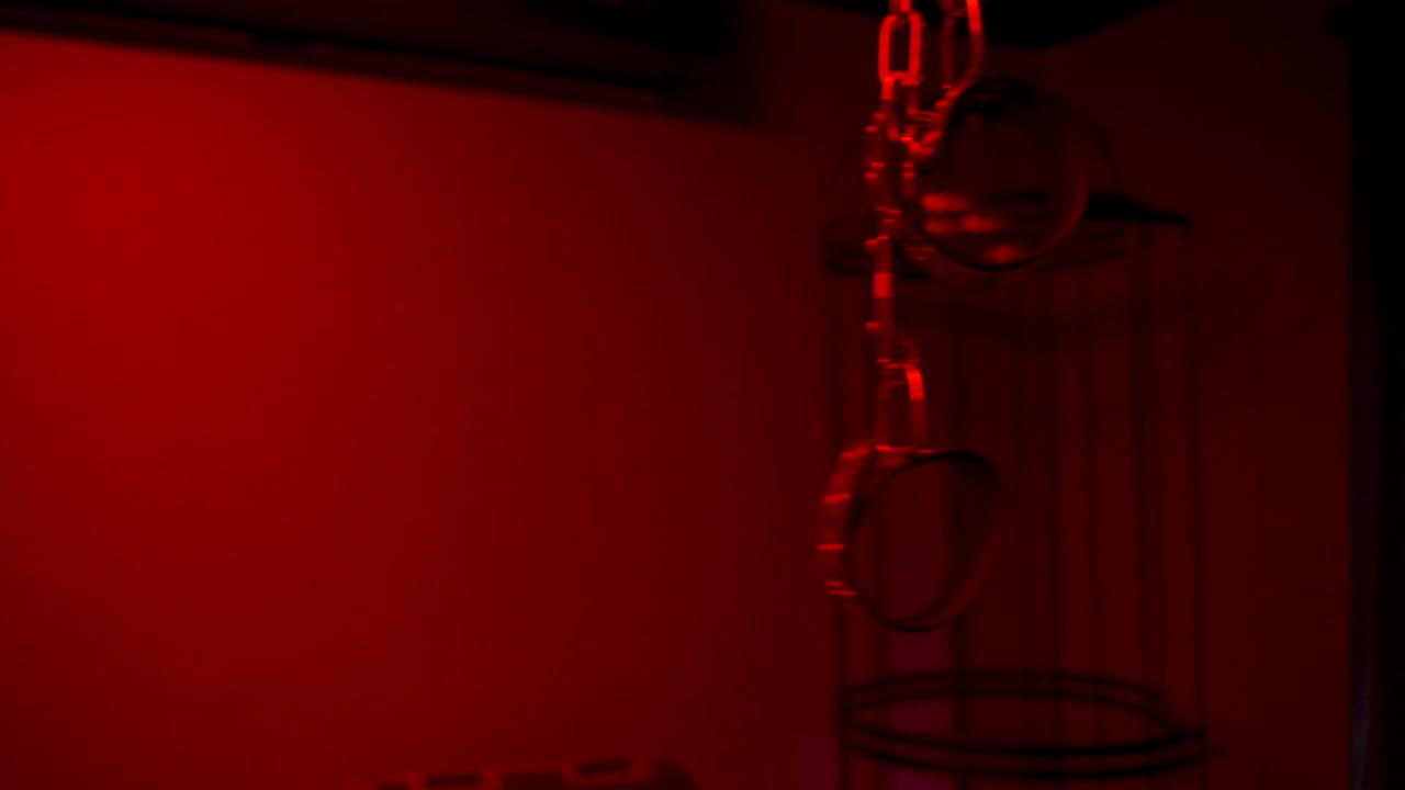 esposas pervertidas que cuelgan del techo ante una jaula de pájaros en una sala de esclavitud roja