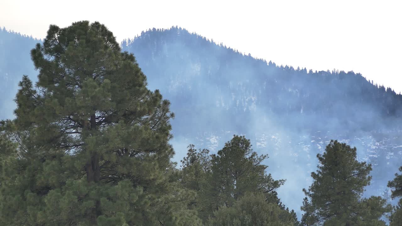 Fumo che si innalza dai primi focolai di un incendio boschivo in montagna