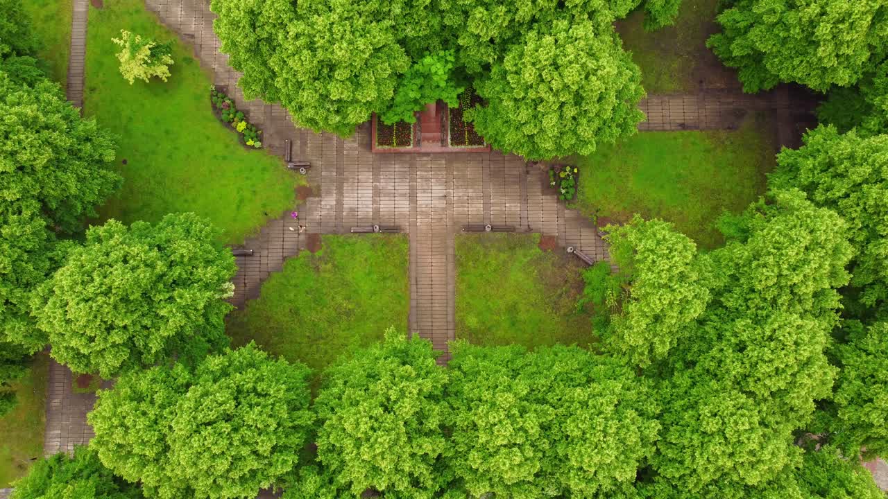 бетонная тропа и зеленые яркие деревья, воздушный вид сверху вниз