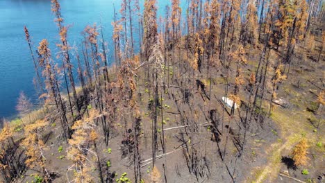 Vista-Desde-Un-Dron-Del-Impacto-Del-Mayor-Incendio-Forestal-En-La-Historia-De-La-Provincia-De-Québec-En-Medio-De-Una-Temporada-Récord-De-Incendios-Forestales-En-Todo-El-País.