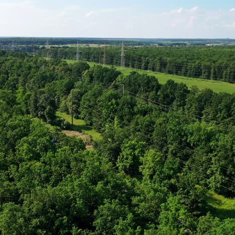 high voltage steel power pylons. transmission lines in summer day. electric tower lines among green nature at daylight. aerial view.