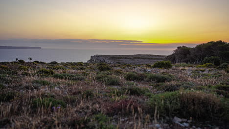 Close-up-shot-of-dry-grass-with-sun-rising-over-the-horizon-through-clouds-in-timelapse