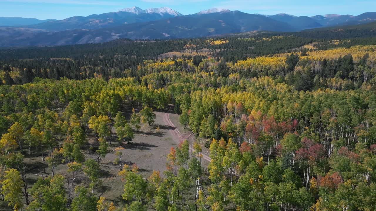 Salida Mt Mount Shavano Tabeguache Peak Colorado trail AWD dirt road camp ground autumn fall morning blue sky aerial drone Colorado aerial drone Aspen Trees forest yellow orange forward pan up