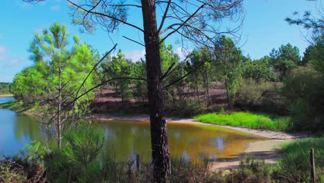 Panoramic-view-of-lake-and-forest-of-Montargil,-Portugal