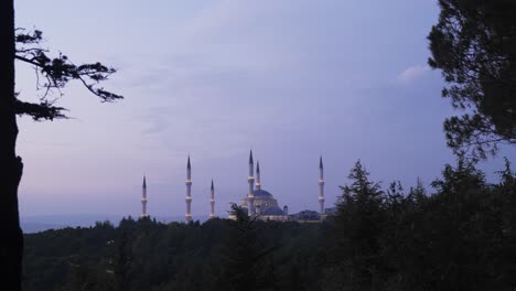 mosque among the trees. the lights are on.