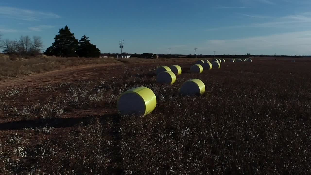 푸른 하늘을 배경으로 밝은 노란색 소재로 포장된 신선한 수확 면화 더미가 있는 중서부 면화 농장의 빠르게 진행되는 전면적인 드론 공중 촬영
