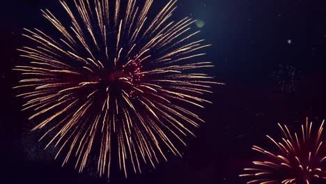 colores múltiples formas fuegos artificiales explosión exhibición cielo noche bucle sin costuras