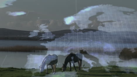 grazing horses near lake with animation of abstract light patterns in nature
