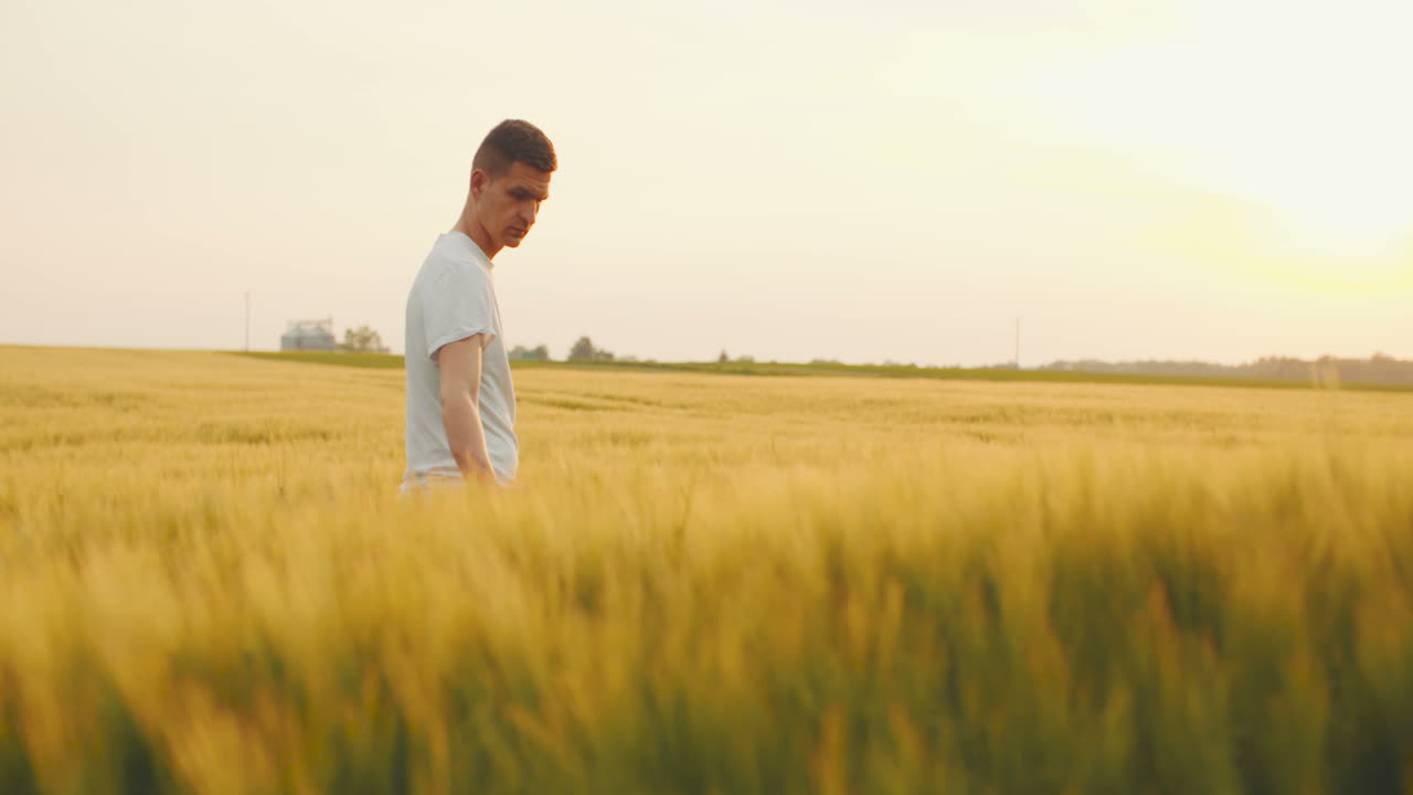 밀을 만지는 남자의 손 1