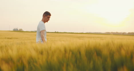 Man'S-Hand-Touching-Wheat-1