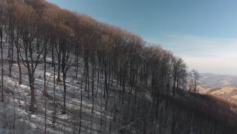 Toma-Aérea-Del-Bosque-De-Montaña-De-Invierno-En-Febrero