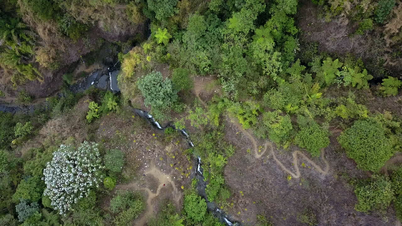 vista aérea de drones de un bosque en ecuador con un río proveniente de una cascada y un camino rural de tierra