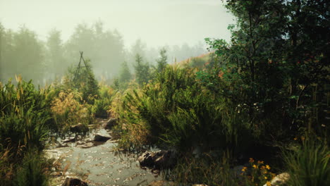 a winding creek flows through lush green grasses and trees in a tranquil forest