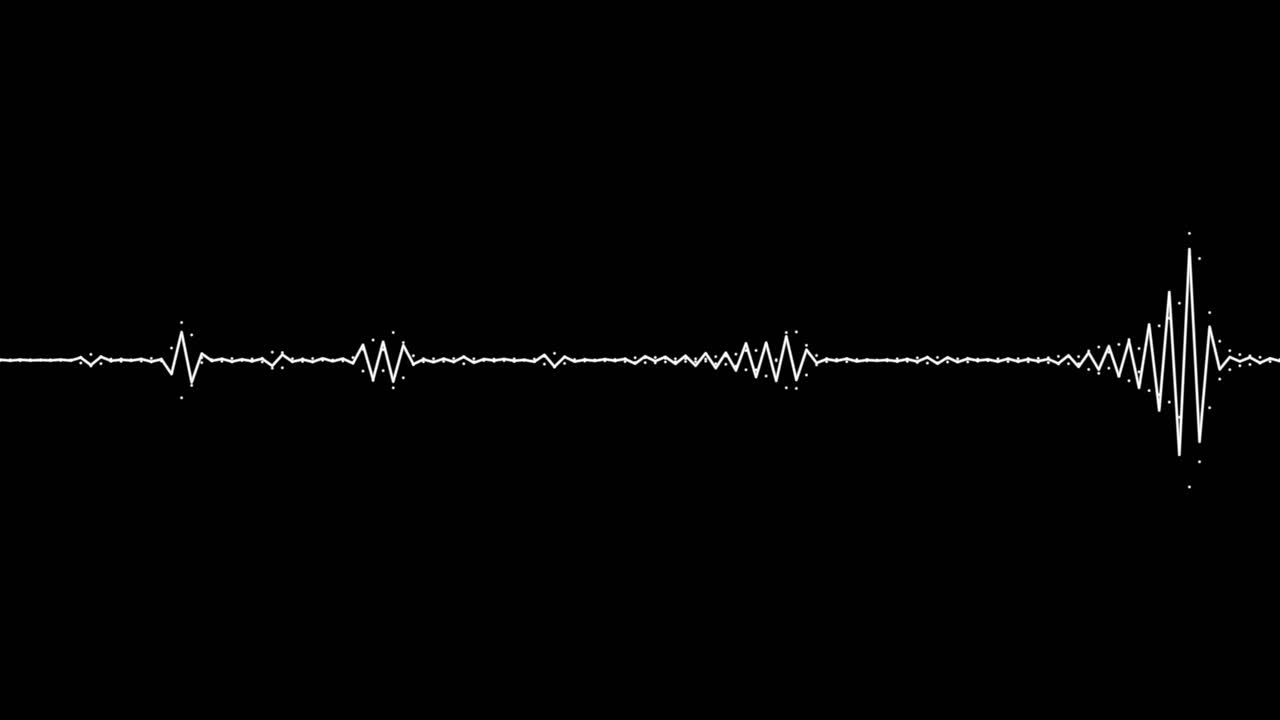 A simple black and white audio visualization effect