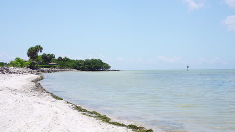 Calming-and-relaxing-view-of-a-desert-beach-with-some-palm-trees,-in-a-nice,-tropical-and-summery-scene-in-Florida