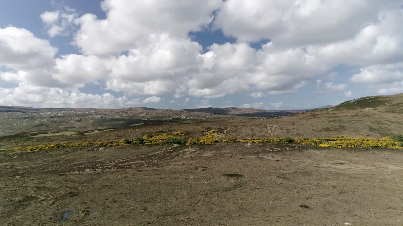 seguimiento aéreo sobre hermosos brezales y una carretera que divide grandes cantidades de aulagas en flor.