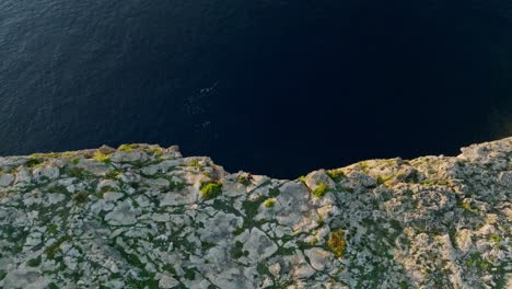 Drone-rises-as-woman-sits-looking-out-over-epic-cliff-vista-at-sunset-into-ocean