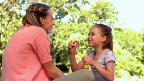 niña pequeña soplando burbujas a su madre feliz en el parque