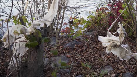 plastic garbage pollution in nature by the river water