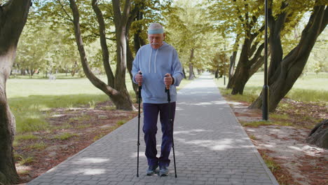 senior healthy retired man grandfather training nordic walking use ski trekking poles in summer park