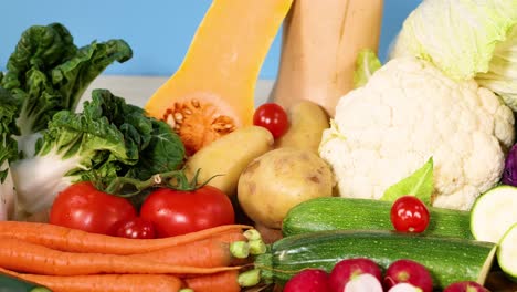 assorted vegetables displayed on a white background