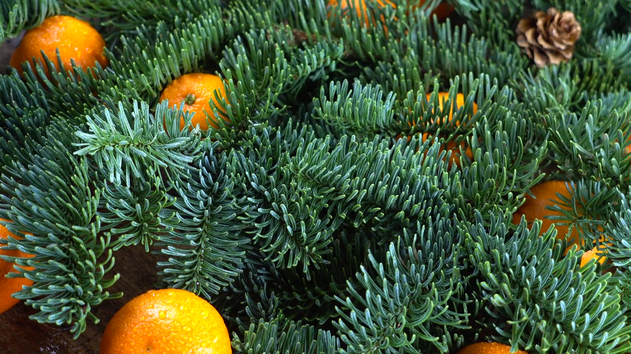 Abies nobilis-grenen ligger på en gammal träskiva i vintagestil och mandariner.