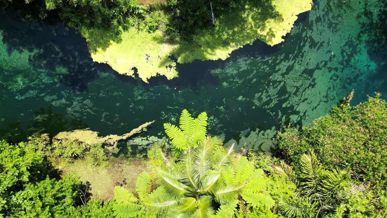 A drone ascends over Santo's Blue Hole Hangout to reveal lush green forests on the island of Espiritu Santo
