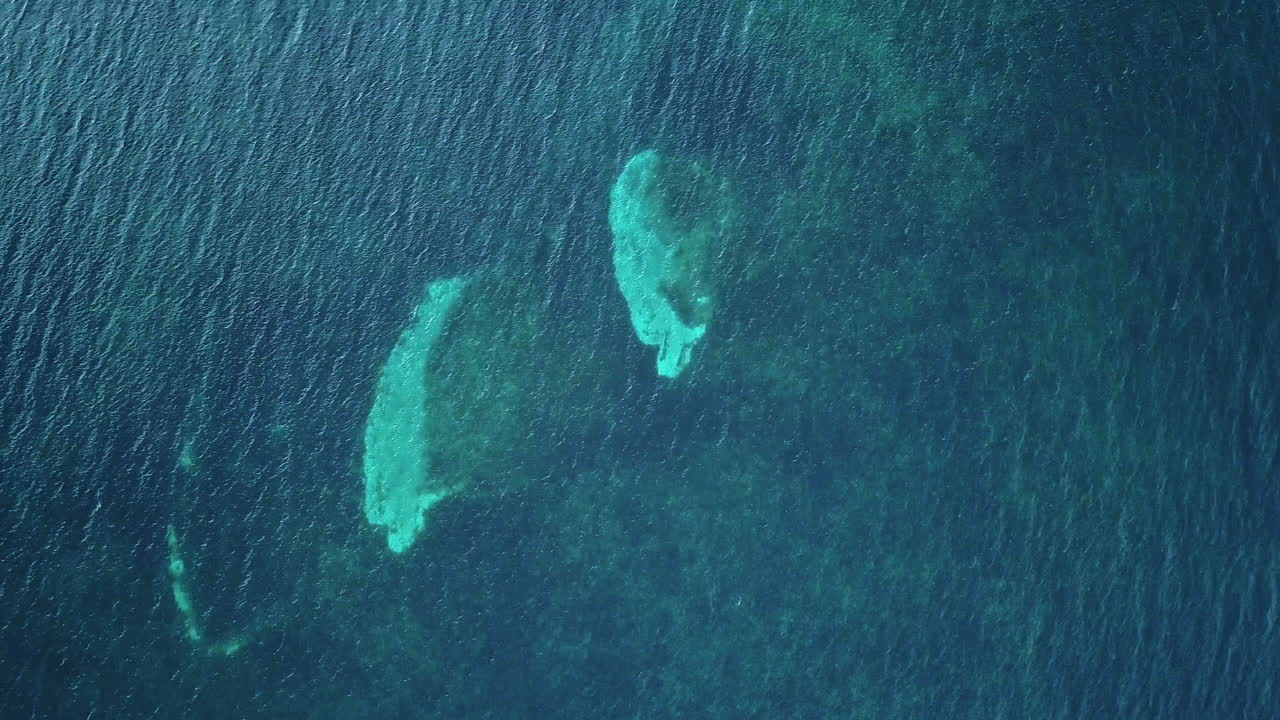 Zenithal aerial view of deep blue ocean surface revealing bright turquoise reef formations and underwater textures in daylight