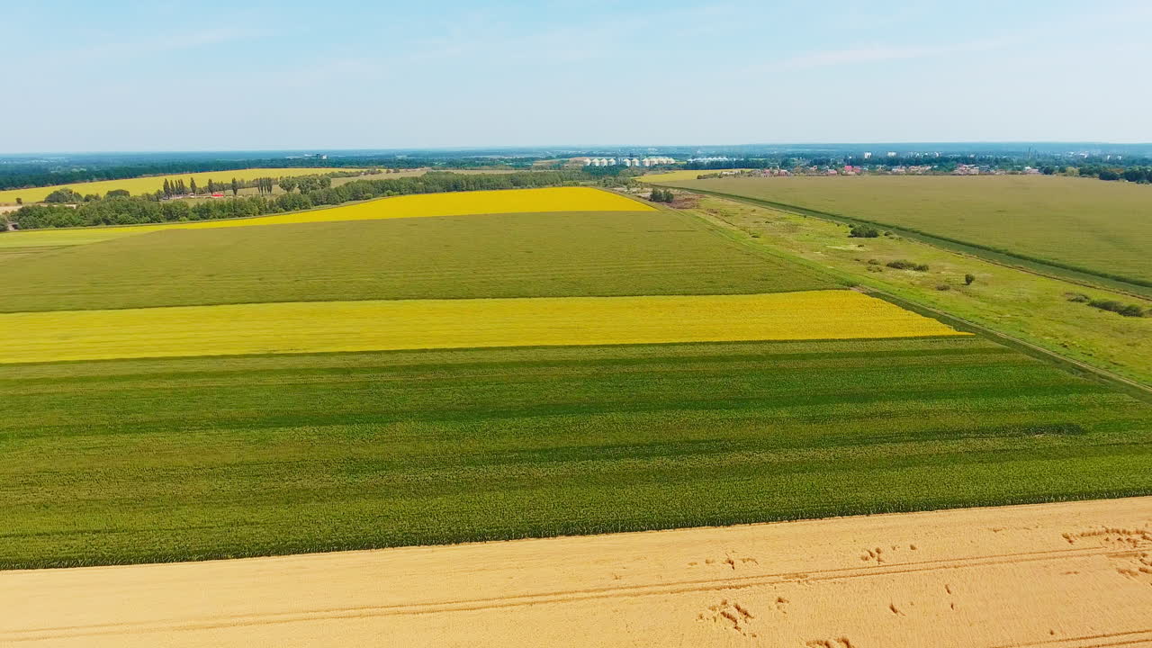 Multi-colored farmlands under the blue skies. Agricultural fields with different crops side by side. Forests and cityscape at backdrop.