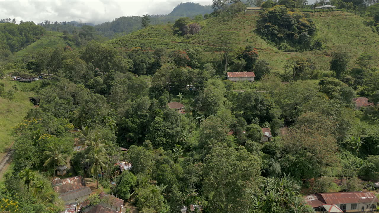 estableciendo una toma aérea de drones del paisaje rural en demodara con árboles, plantaciones de té y casas en sri lanka