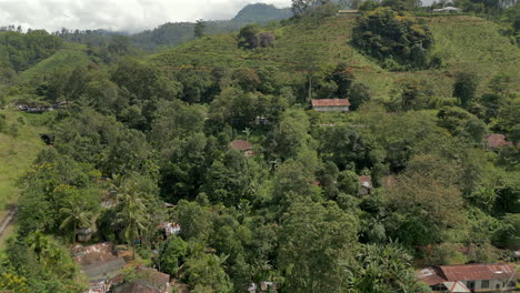 establishing aerial drone shot of rural landscape in demodara with trees tea plantations and houses in sri lanka