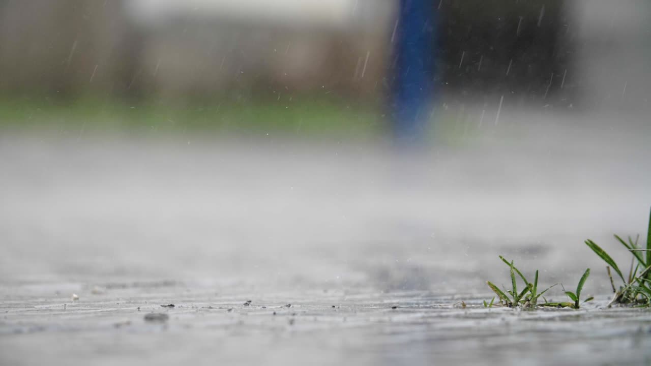 도시 환경에서 잔디와 식물의 작은 패치에 떨어지는 비 - slowmotion