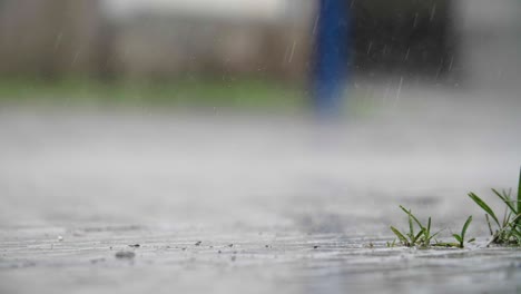 Lluvia-Cayendo-Sobre-Un-Pequeño-Parche-De-Hierba-Y-Plantas-En-Un-Entorno-Urbano---Cámara-Lenta