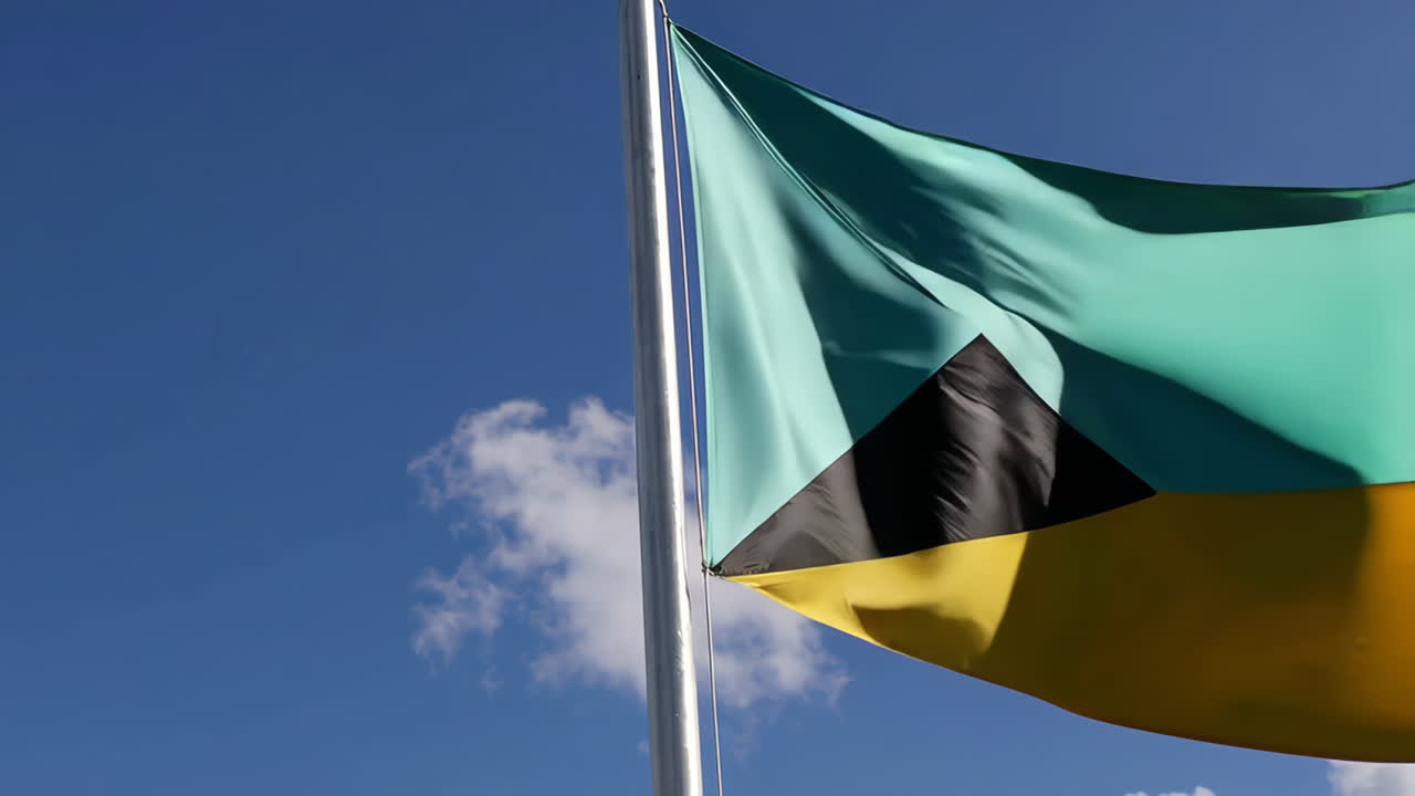 Bandiera delle Bahamas