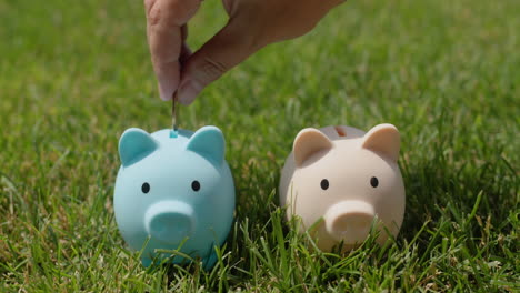 a hand puts coins in two piggy banks that stand on green grass. family budget concept