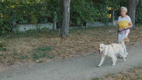 senior woman walking her dog in a park