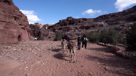 bedouin is riding on a donkey and three backpacker tourists following him on foot on a sandy road in ancient city of petra