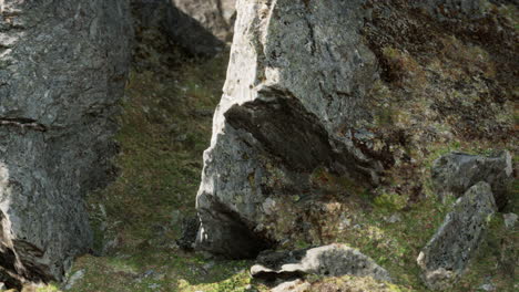 Nahaufnahme-Einer-Felsformation