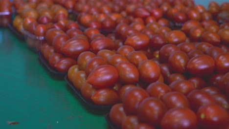 tomates roma frescos envasados