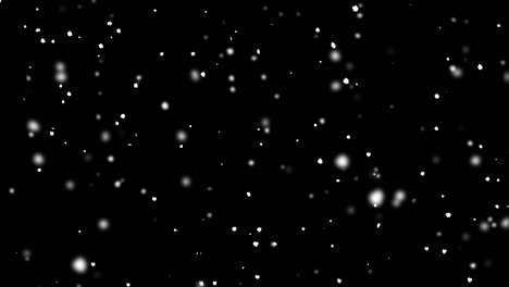snowflakes on a black background