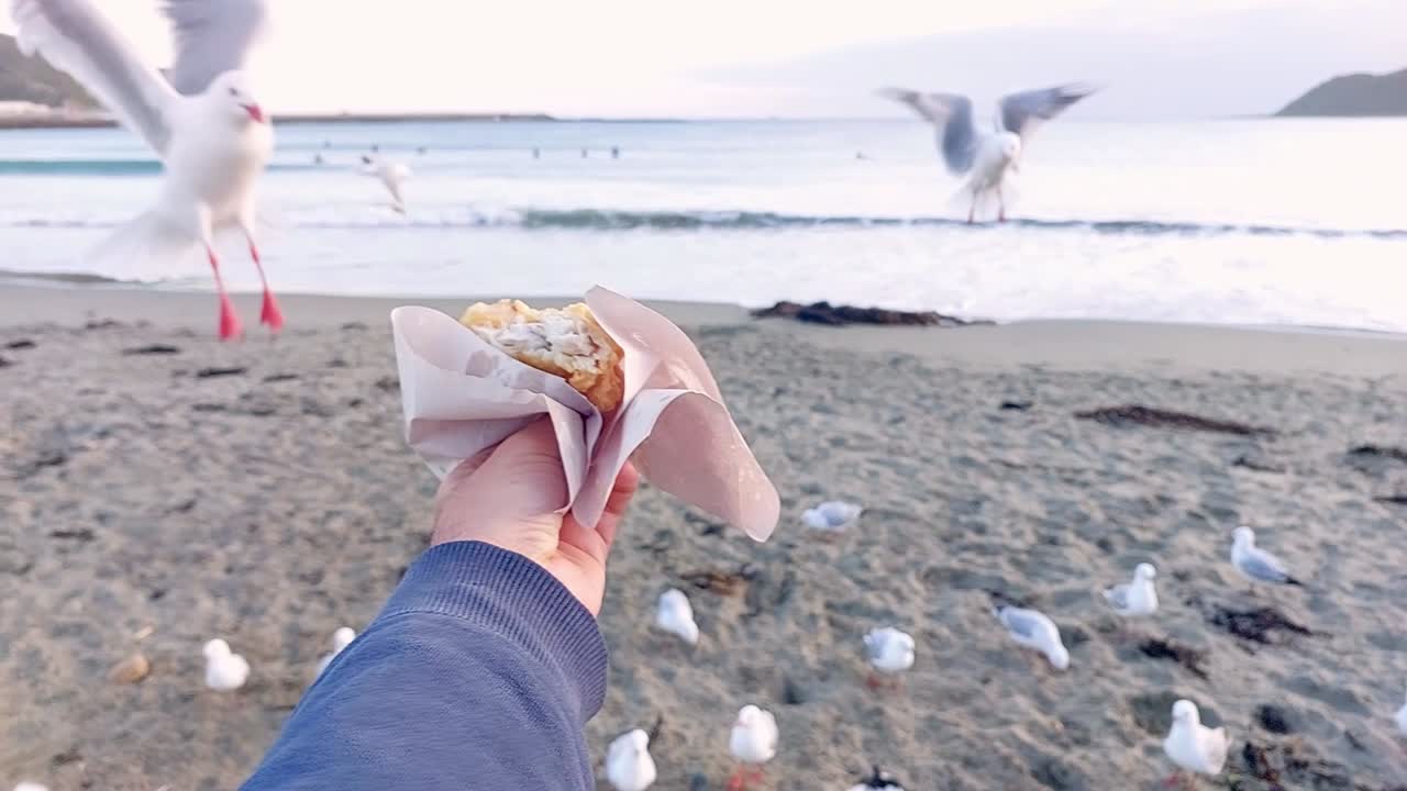 First person perspective of a hand holding a piece of cooked fish for seagulls to grab