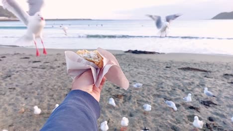 first person perspective of a hand holding a piece of cooked fish for seagulls to grab