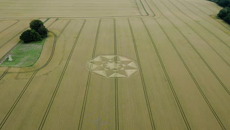 Golden-agricultural-wheat-field-crop-circle-aerial-view-over-Micheldever,-Hampshire-strange-circular-pattern