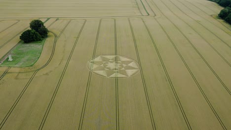 golden agricultural wheat field crop circle aerial view over micheldever, hampshire strange circular pattern